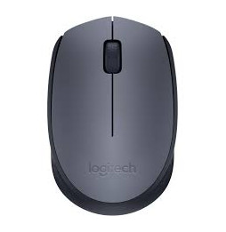 LOGITECH SOURIS M170...